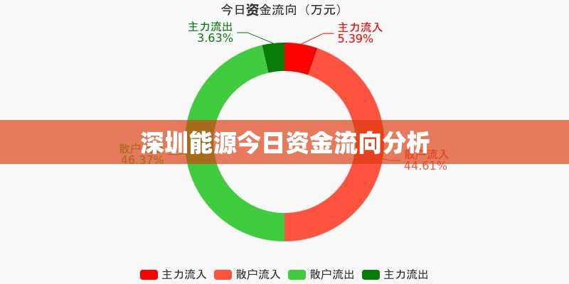 深圳能源今日資金流向分析