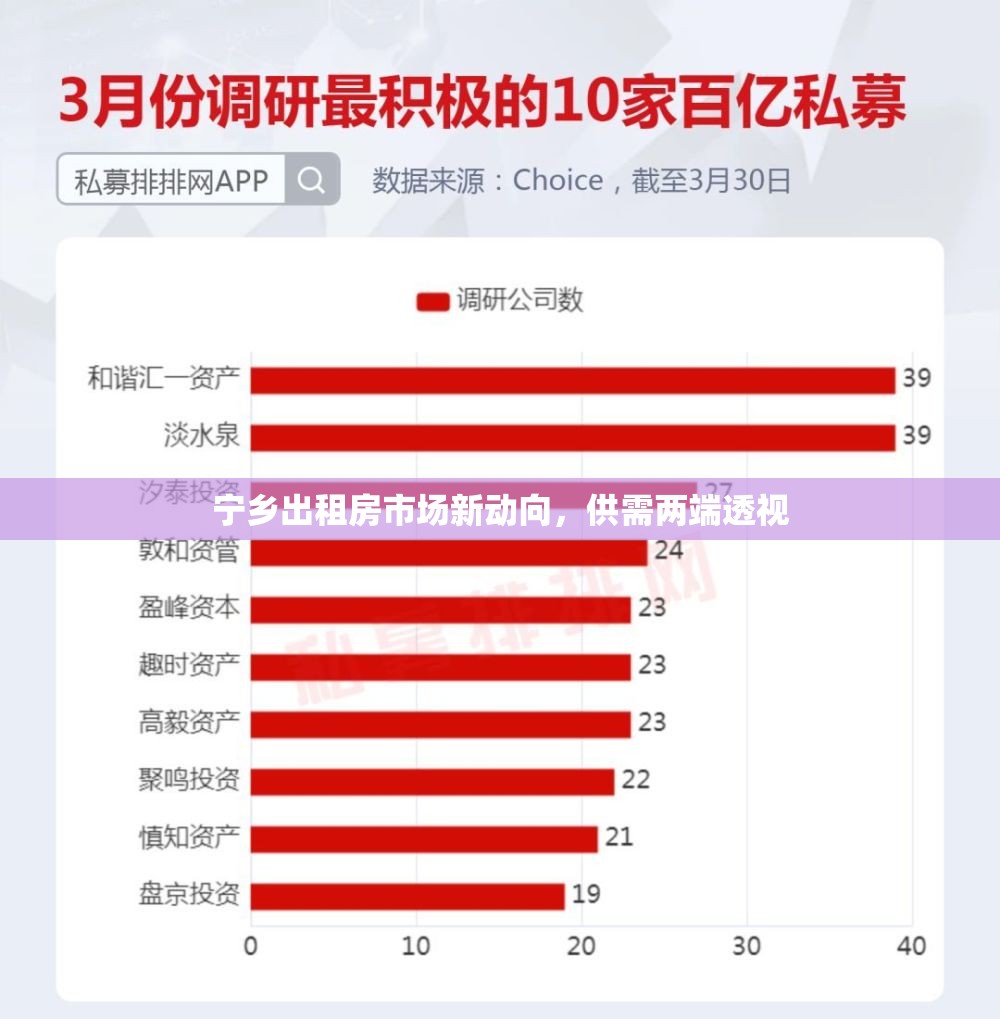 寧鄉(xiāng)出租房市場新動向，供需兩端透視