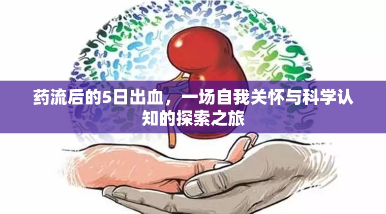 藥流后的5日出血，一場自我關(guān)懷與科學(xué)認知的探索之旅