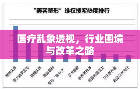 醫(yī)療亂象透視，行業(yè)困境與改革之路