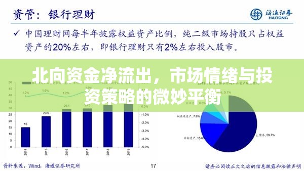 北向資金凈流出，市場(chǎng)情緒與投資策略的微妙平衡