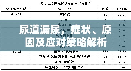 尿道漏尿，癥狀、原因及應(yīng)對策略解析