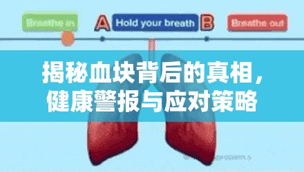 揭秘血塊背后的真相，健康警報(bào)與應(yīng)對(duì)策略