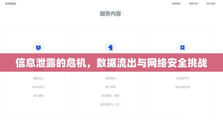 信息泄露的危機(jī)，數(shù)據(jù)流出與網(wǎng)絡(luò)安全挑戰(zhàn)