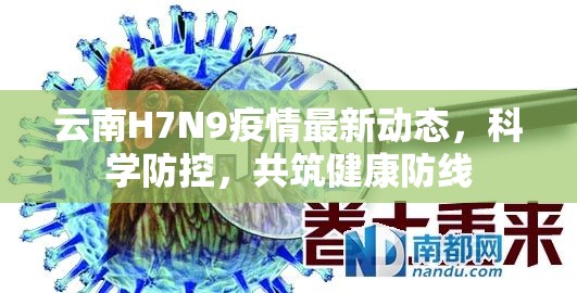 云南H7N9疫情最新動(dòng)態(tài)，科學(xué)防控，共筑健康防線