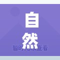 自然與文化的交響，哈尼鹿的魅力展現(xiàn)