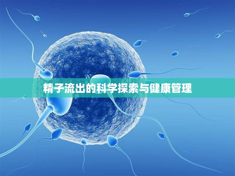 精子流出的科學(xué)探索與健康管理