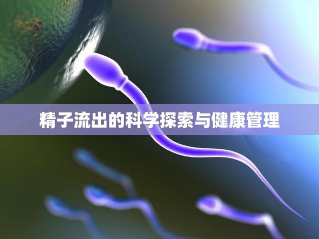 精子流出的科學(xué)探索與健康管理