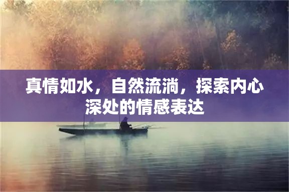 真情如水，自然流淌，探索內(nèi)心深處的情感表達(dá)