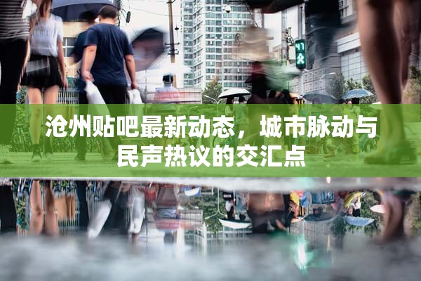 滄州貼吧最新動態(tài)，城市脈動與民聲熱議的交匯點