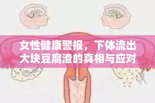 女性健康警報，下體流出大塊豆腐渣的真相與應(yīng)對策略