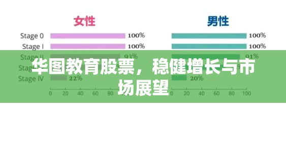 華圖教育股票，穩(wěn)健增長與市場展望