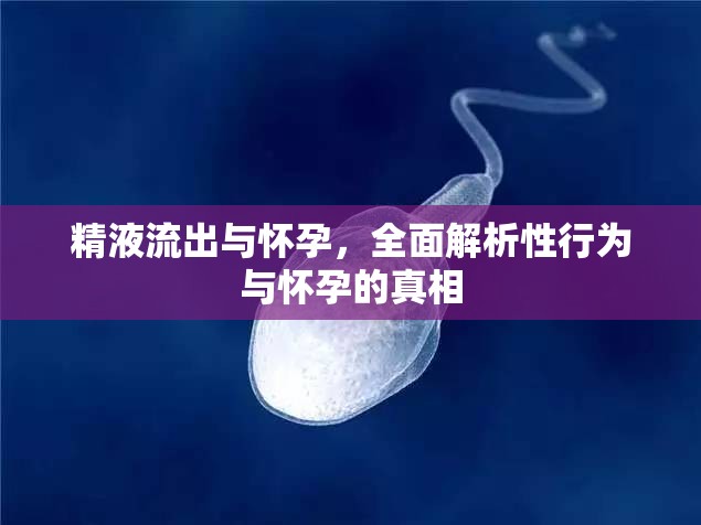 精液流出與懷孕，全面解析性行為與懷孕的真相