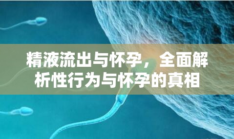 精液流出與懷孕，全面解析性行為與懷孕的真相