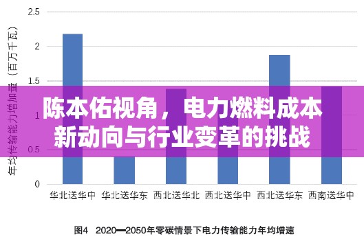 陳本佑視角，電力燃料成本新動向與行業(yè)變革的挑戰(zhàn)