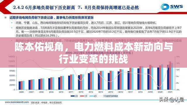 陳本佑視角，電力燃料成本新動向與行業(yè)變革的挑戰(zhàn)