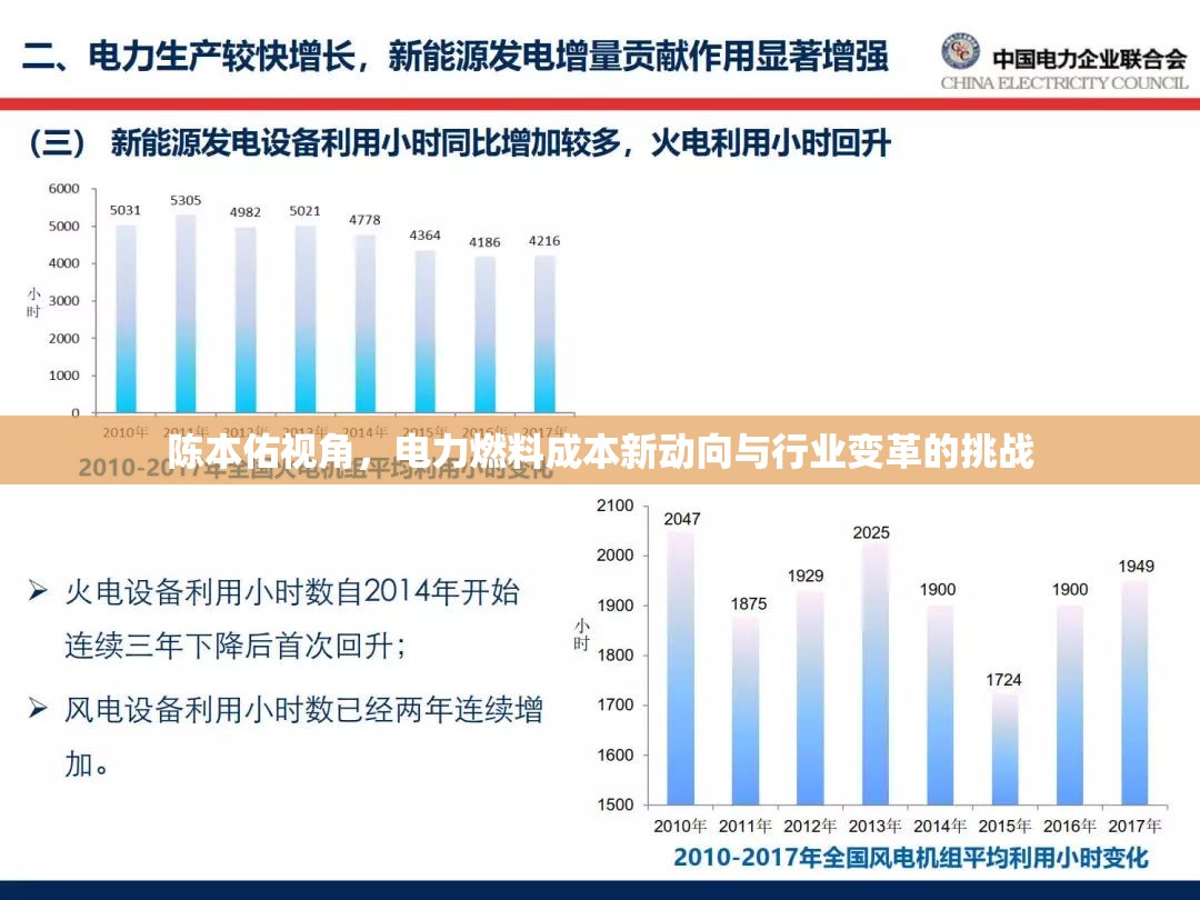 陳本佑視角，電力燃料成本新動向與行業(yè)變革的挑戰(zhàn)