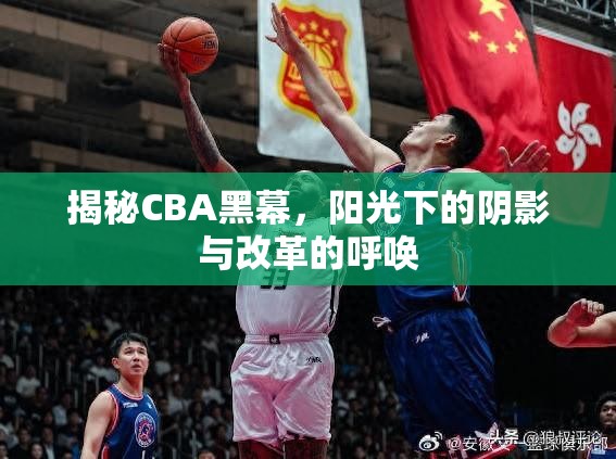 揭秘CBA黑幕，陽光下的陰影與改革的呼喚