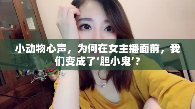 小動物心聲，為何在女主播面前，我們變成了‘膽小鬼’？