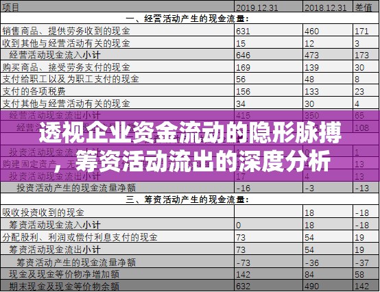 透視企業(yè)資金流動(dòng)的隱形脈搏，籌資活動(dòng)流出的深度分析