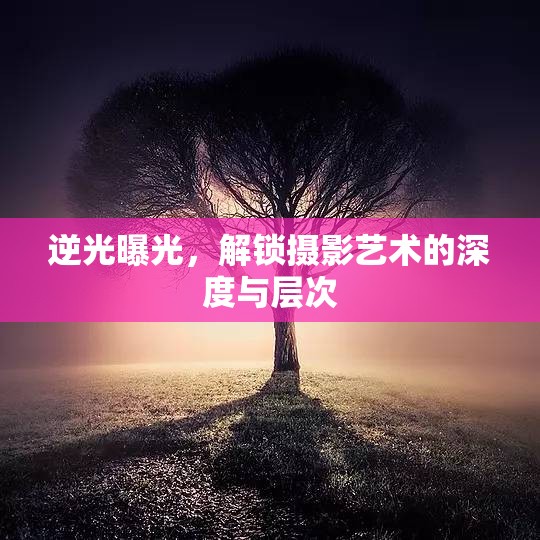 逆光曝光，解鎖攝影藝術(shù)的深度與層次