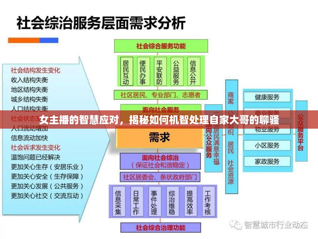 女主播的智慧應(yīng)對，揭秘如何機智處理自家大哥的聊騷