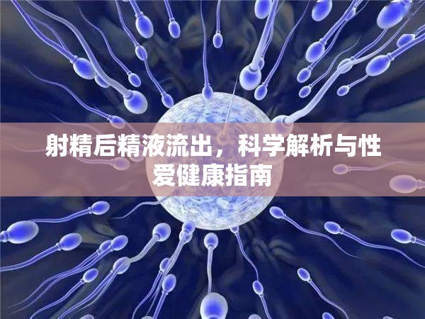 射精后精液流出，科學(xué)解析與性愛(ài)健康指南