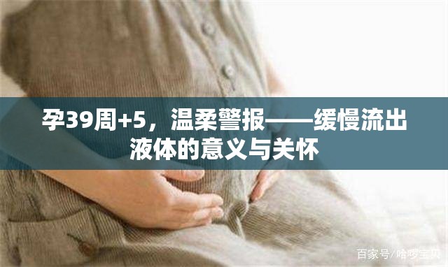 孕39周+5，溫柔警報——緩慢流出液體的意義與關(guān)懷