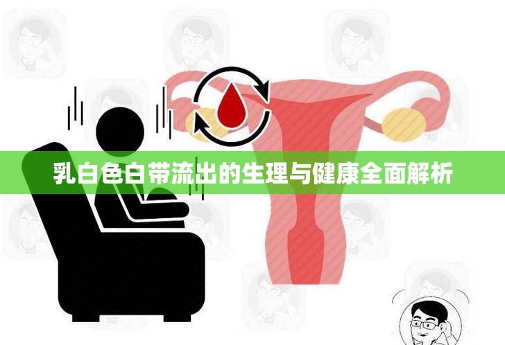 乳白色白帶流出的生理與健康全面解析