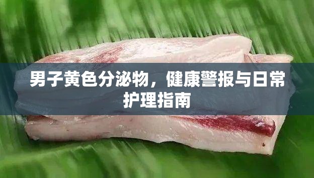 男子黃色分泌物，健康警報與日常護理指南