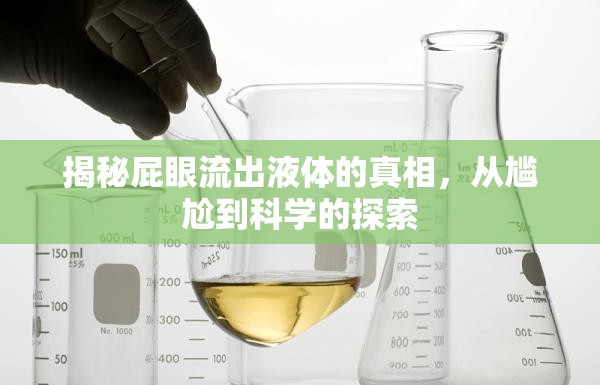 揭秘屁眼流出液體的真相，從尷尬到科學(xué)的探索