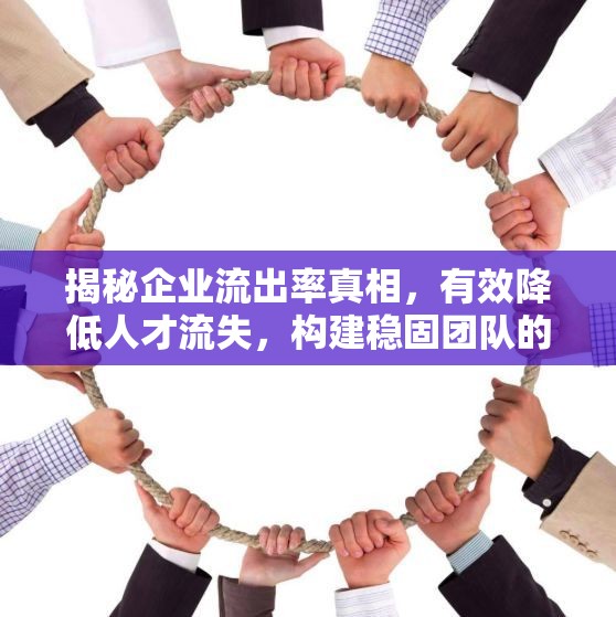 揭秘企業(yè)流出率真相，有效降低人才流失，構(gòu)建穩(wěn)固團隊的策略