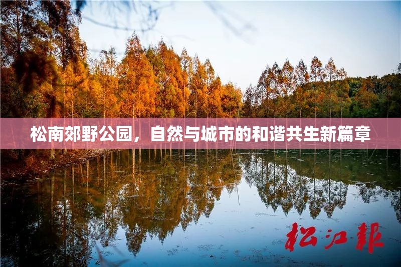 松南郊野公園，自然與城市的和諧共生新篇章