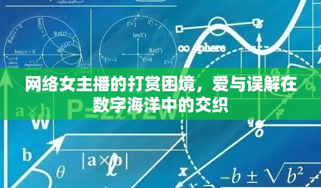 網(wǎng)絡(luò)女主播的打賞困境，愛與誤解在數(shù)字海洋中的交織