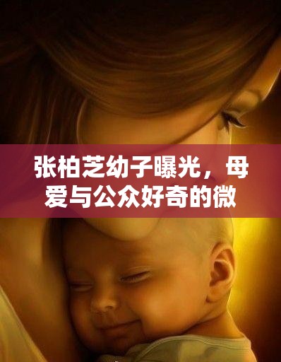 張柏芝幼子曝光，母愛(ài)與公眾好奇的微妙平衡