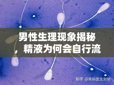 男性生理現(xiàn)象揭秘，精液為何會自行流出？