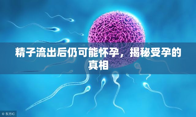 精子流出后仍可能懷孕，揭秘受孕的真相