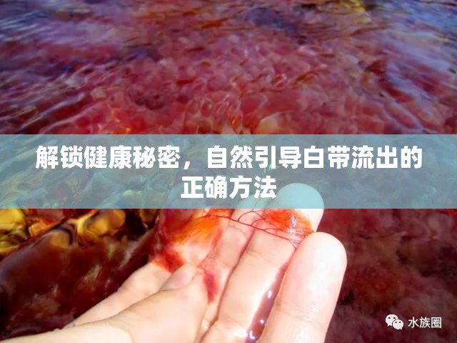 解鎖健康秘密，自然引導白帶流出的正確方法