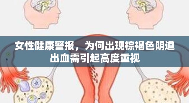 女性健康警報，為何出現(xiàn)棕褐色陰道出血需引起高度重視