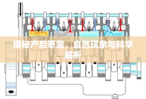 揭秘產后惡露，自然現(xiàn)象與科學解析