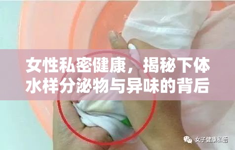 女性私密健康，揭秘下體水樣分泌物與異味的背后真相