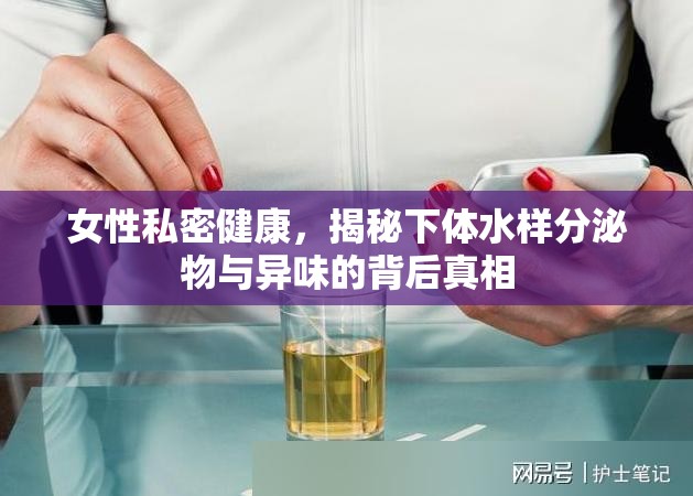 女性私密健康，揭秘下體水樣分泌物與異味的背后真相