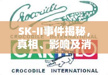 SK-II事件揭秘，真相、影響及消費(fèi)者警示