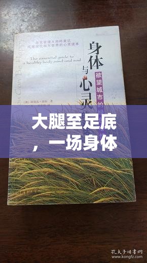 大腿至足底，一場身體與心靈的微妙熱流對話