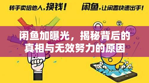 閑魚加曝光，揭秘背后的真相與無效努力的原因