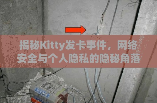 揭秘Kitty發(fā)卡事件，網絡安全與個人隱私的隱秘角落