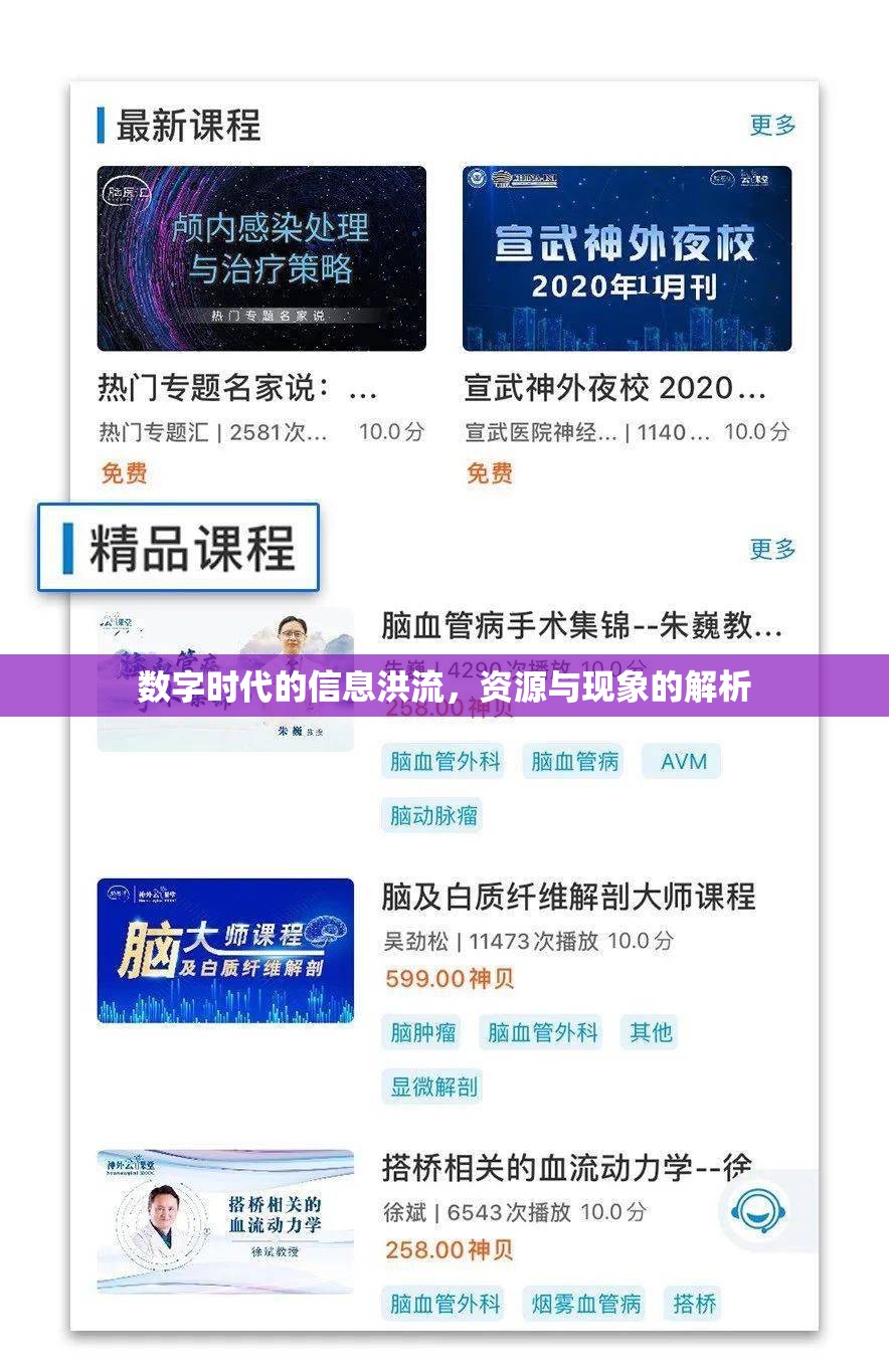 數(shù)字時(shí)代的信息洪流，資源與現(xiàn)象的解析