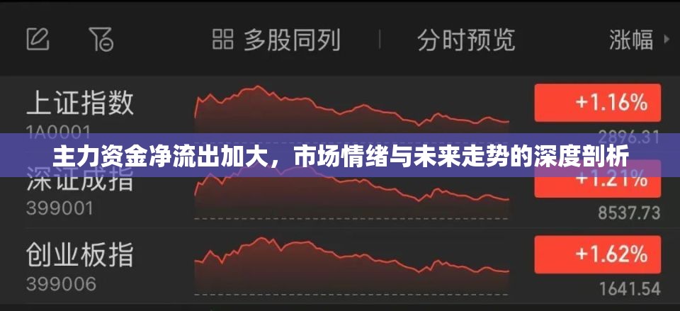 主力資金凈流出加大，市場情緒與未來走勢的深度剖析