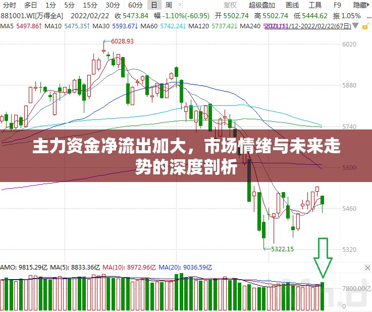 主力資金凈流出加大，市場情緒與未來走勢的深度剖析