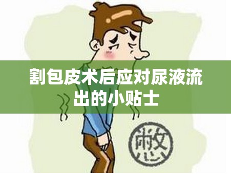 割包皮術(shù)后應(yīng)對尿液流出的小貼士